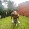 ella ingram - @ellagispam - TikTok