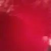 Ella Jansen - @ellajansen356 - TikTok