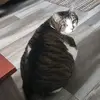 Ella Keith - @ella.keith90 - TikTok