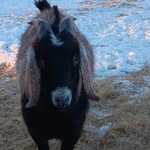Ella Keller - @ellakeller9976 - Instagram
