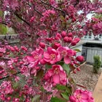 Ellen Jean Kellogg - @ellenjeankellogg - Instagram