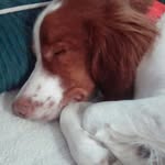 ella kempf - @ellakempf - Instagram