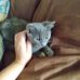 Ella Kerner - Facebook