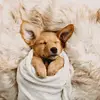 ella.kessler2 - @ella.kessler2 - TikTok