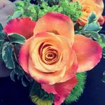 @ellakessler_ - Instagram