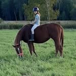 Ella kidder - @ella_kidder - Instagram