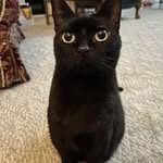 Ellen Burns Kidwell - @ebkidwell - Instagram