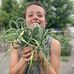 Ella Kilpatrick Kotner - Facebook