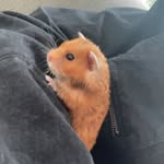 Ella - @ella_kimble_powers - Instagram
