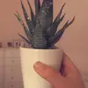 𝙴𝚕𝚕𝚊 𝙺𝚒𝚝𝚜𝚘𝚗 - @_..ellakitson.._ - TikTok
