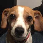 Ella Kline - @squidbob_57 - Instagram