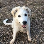 Ella Kline - @squidbob57 - Instagram