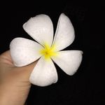 Ella Knapp Johnson - @ekjpriv - Instagram