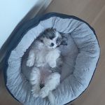 Ella knudsen - @knudsen4915 - Instagram