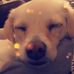Ella Knutson - Facebook