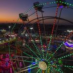 Oc fair fan - @ella.kolker - Instagram