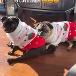 Ella Kyle - @kyle_ella927758 - Instagram