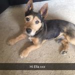 Ella Lacey - @ellalacey7 - Instagram