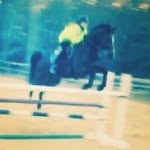 @postorivofarms - @bella__lance7997 - Instagram