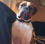 Ella Lane - Facebook