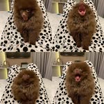 Ella Langdon - @ellalangdon545 - Instagram