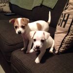 Ella.langford - @ella.langford3698 - Instagram