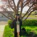Ella Langham - Facebook