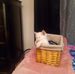 Ella Larkin - Facebook