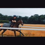 🇬🇧Ella Collins - O’Leary☘️ - @ellacollinsoleary - Instagram