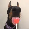 Elle Leary - @elleleary - TikTok