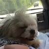 ella._.lebrun - @ellalebrun - TikTok