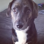 Ella Lederer - Facebook
