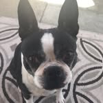 Ella Leger - @ella_leger - Instagram