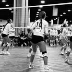 @ellalemkevolleyball - Instagram