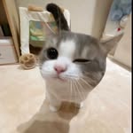 ʙᴇʟʟᴀ - @lemonellai - Instagram