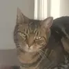 Ella - @ella_lemon - TikTok