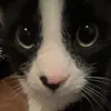 ella - @ella.leung_ - TikTok