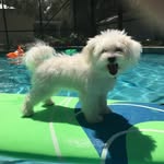 Ella Lockhart - @floofloo_17 - Instagram