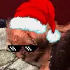 Bear the puppy - @ellarose_macias - TikTok