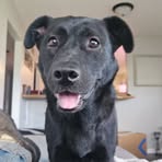 Ella Mackey - Facebook