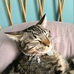 Ella_marley - @ella_marley06 - Instagram