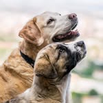 Ella_MarleyMK - @ella_marleymk - Instagram