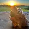 Ella - @.ellamarriott26 - TikTok