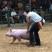 Ella Mattox - Facebook
