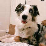 Ella Maze - @ellamaze_aussie - Instagram