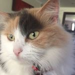 Ella Mcbride - @ella_mcbride01 - Instagram