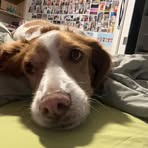 Ella McCarthy - Facebook