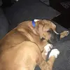 Ella - @ellamiles20901 - TikTok