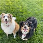 Miley and Ella - @ellaandmiley - Instagram