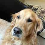 Ella milligan - @ella_milligan_ - Instagram